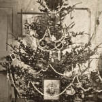 The Tree